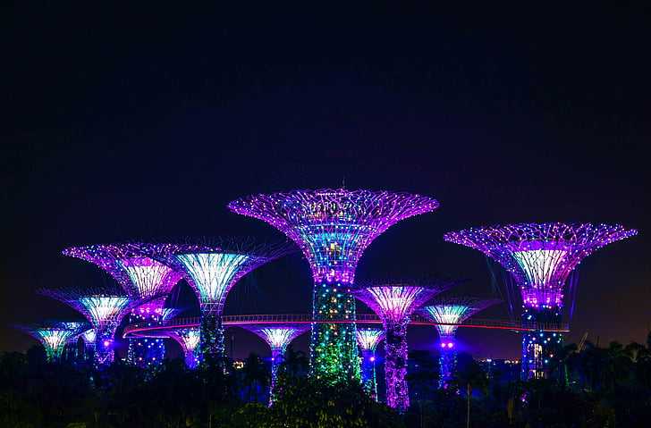 city-park-singapore-night-preview.jpg