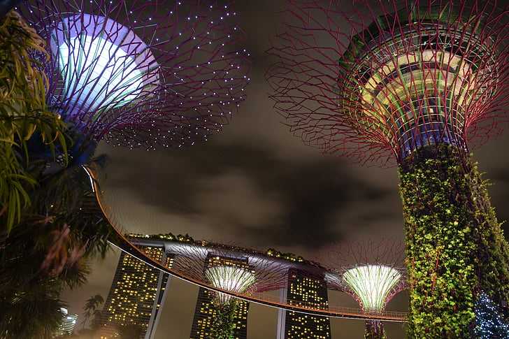 supertree-singapore-garden-by-the-bay-preview.jpg