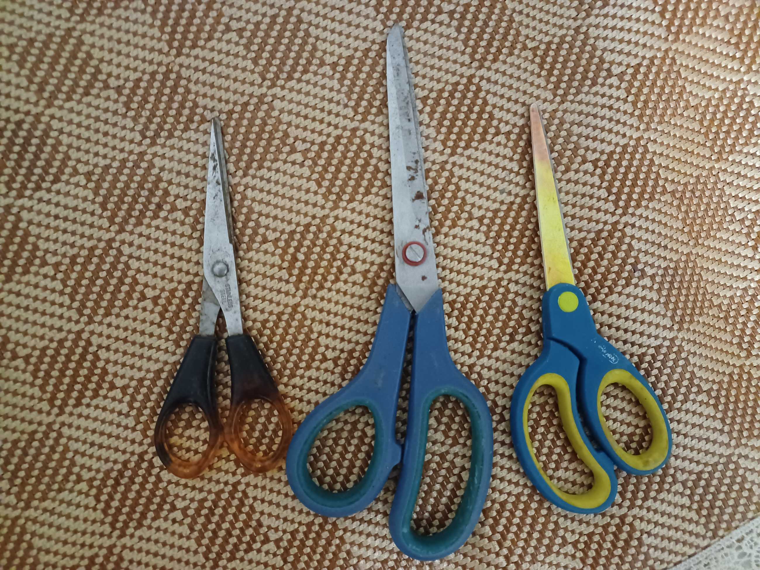 20231014_160505.jpg