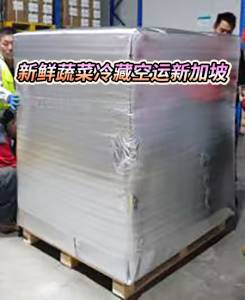 新鲜蔬菜冷藏空运新加坡