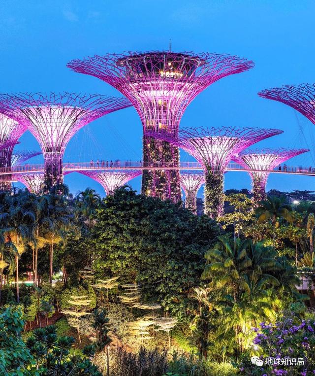 新加坡，越变越大了｜地球知识局