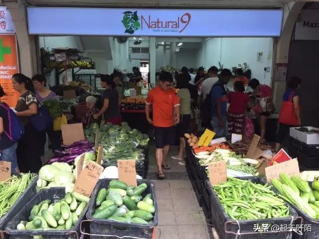 扼守马六甲海峡咽喉的“新加坡”,今天带你看看真实的新加坡现状