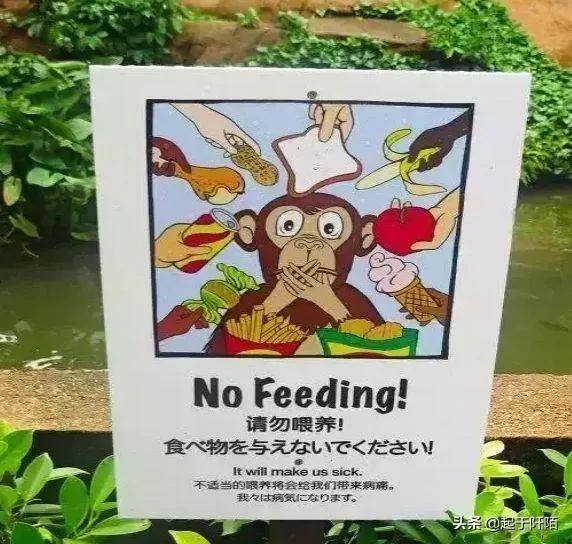 扼守马六甲海峡咽喉的“新加坡”,今天带你看看真实的新加坡现状