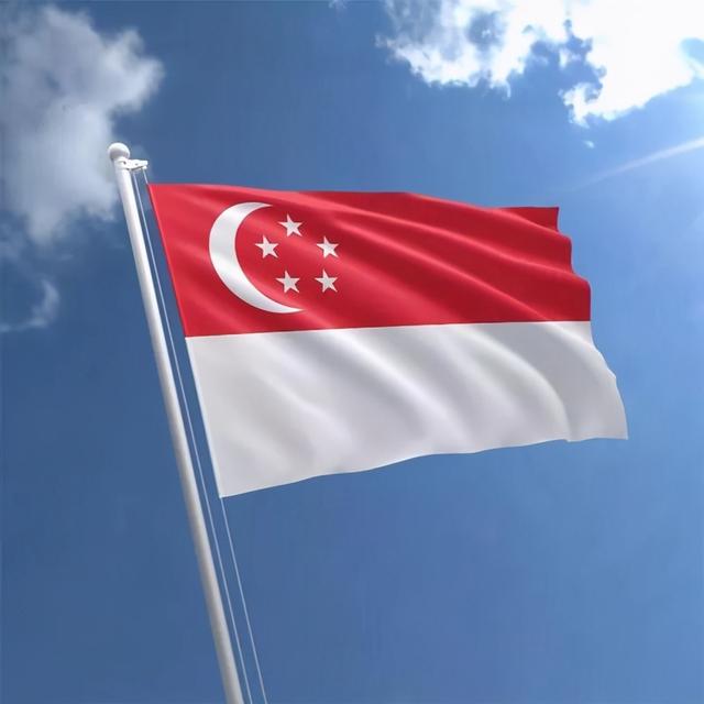 新加坡独立后，为何没有回归祖国？