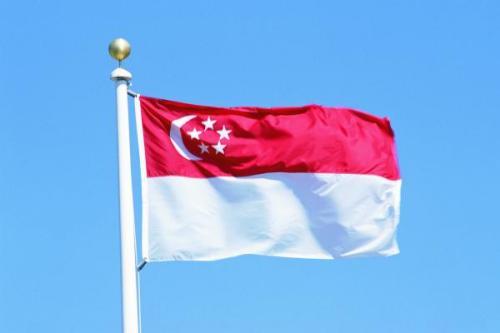 弹丸小国新加坡为什么能成为发达国家
