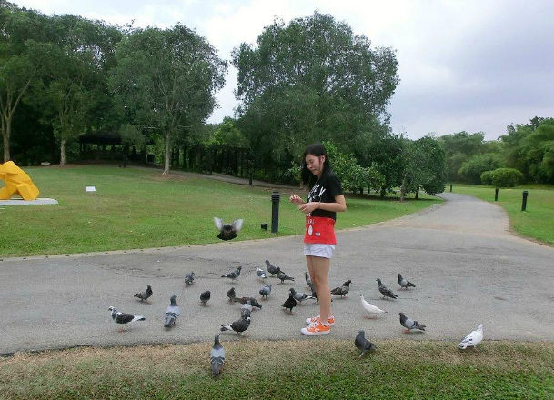 誉为亚洲四小龙的新加坡如今那里的生活对比大陆还有优越感吗?