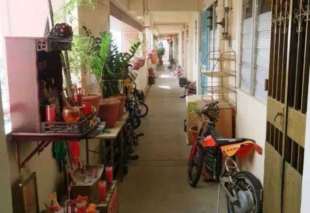 在新加坡生活了6年,这里和中国究竟有什么不同