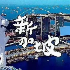 新加坡衣食住行了解一下