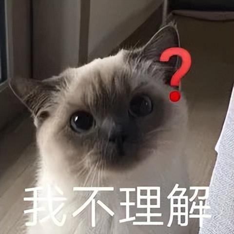 干净又卫生?新加坡推出「冲厕水啤酒」引发网友热议