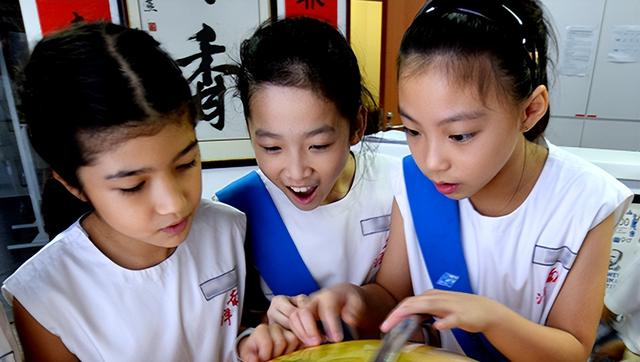 打算送孩子出国留学,不妨了解下新加坡这个以教育闻名全球的国家