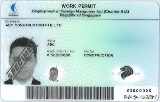 在新加坡，主要都有哪些身份准证？