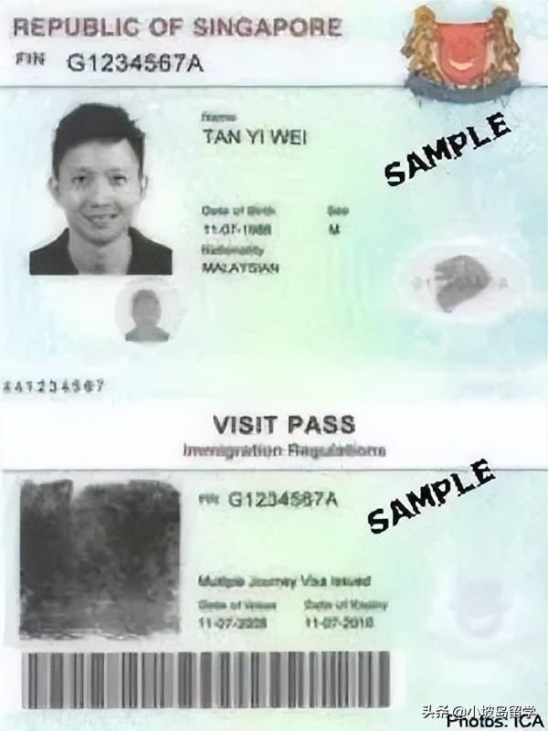 在新加坡,主要都有哪些身份准证?