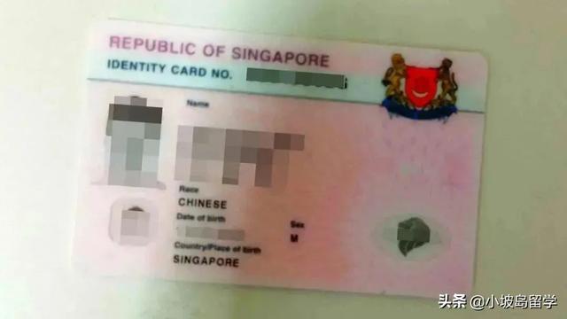 在新加坡,主要都有哪些身份准证?