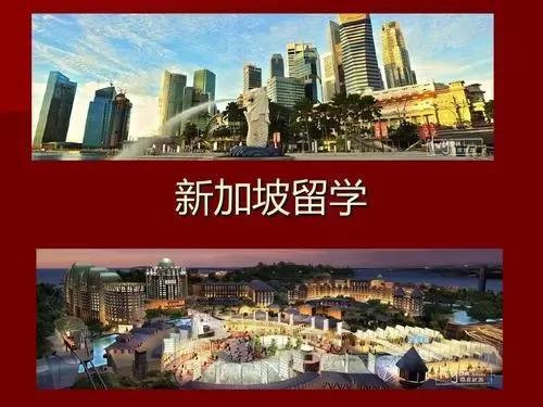 新加坡留学条件