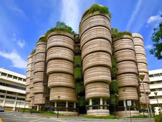 邻居家留学:新加坡申请全攻略