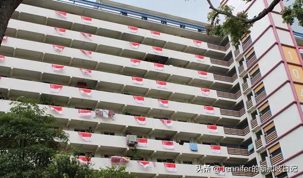 新加坡国旗成“精”了?!带你了解国旗背后的故事……