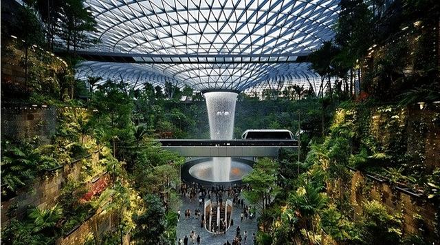 不足上海大的新加坡，机场却是亚洲最牛的，亚马逊雨林都搬进去了