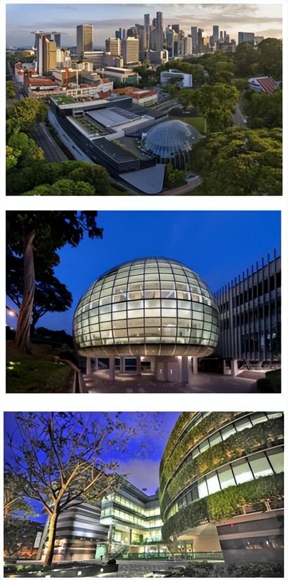 新加坡管理大学(SMU),原来你是新加坡的商科“黄埔军校”