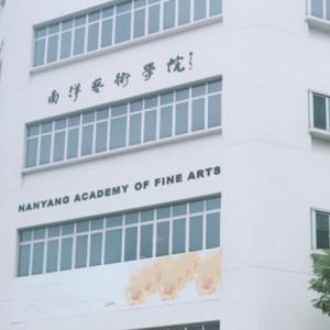 新加坡南洋艺术学院公立还是私立