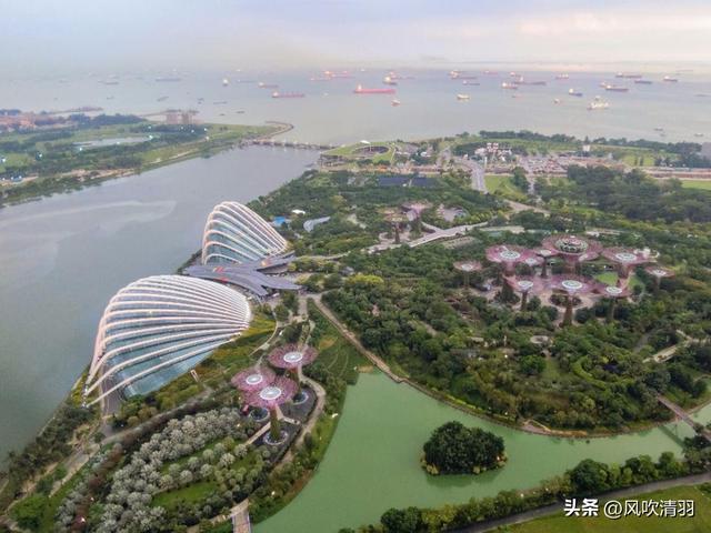 仅深圳1/3的新加坡,为何如此发达?奇怪的是人们都不做饭