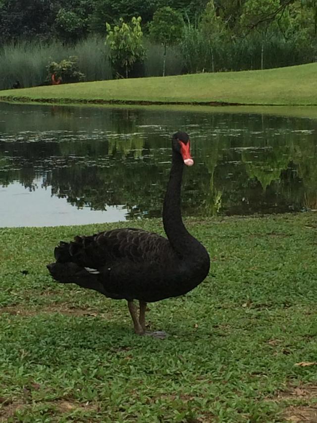 新加坡旅游必看景点