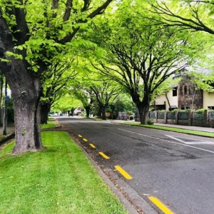 新加坡留学申请条件专业