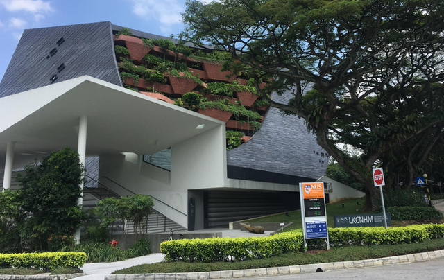 想要去新加坡留学,连最基本的升学道路都不知道怎么行?