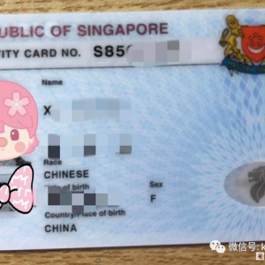 PR持有人不在新加坡，再入境许可证REP过期了，还能更新吗？