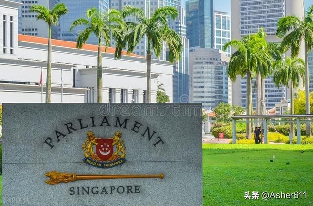 新加坡基金会能不能划分股份那？