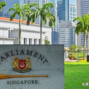 新加坡基金会能不能划分股份那？