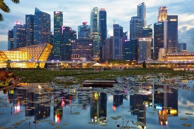 新加坡995，月薪4万 vs 中国香港凌晨下班，月薪8万，怎么选？