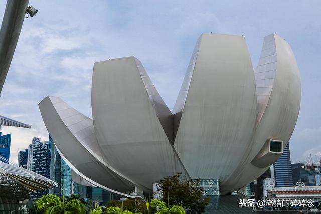 读城之探访新加坡艺术科学博物馆