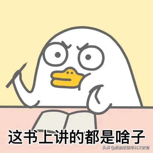 新加坡留学|新加坡学校常见的英文缩写(超详细)