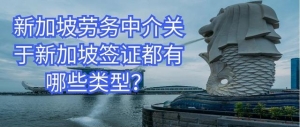 新加坡劳务中介关于新加坡签证都有哪些类型？