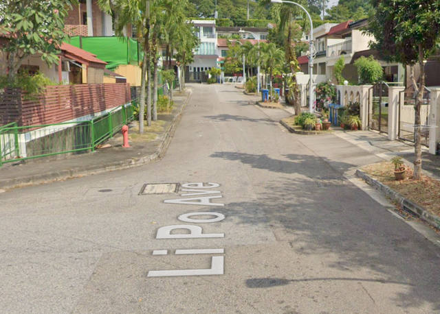 新加坡竟然还有李白路、杜甫路?那白胡椒路,巴西立又是啥?