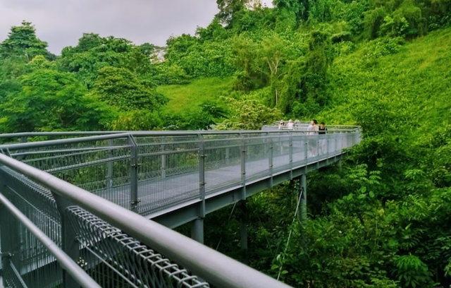 新加坡竟然还有李白路、杜甫路?那白胡椒路,巴西立又是啥?