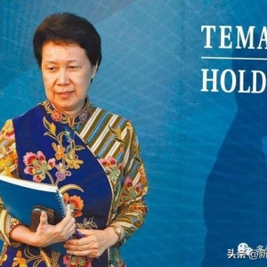 新加坡政府全资拥有的淡马锡控股公司到底有多神秘？