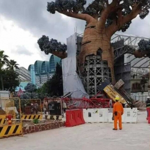 新加坡环球影城起重机倒塌后工程公司被勒令停工