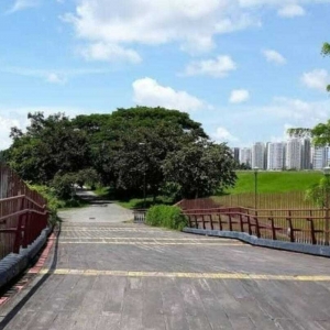 榜鹅海滨长廊自然步道沿线地区在野猪袭击事件后被封锁