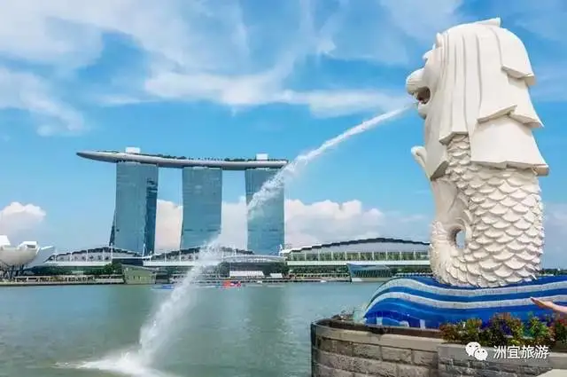 更换护照后如何办理新加坡签证转移