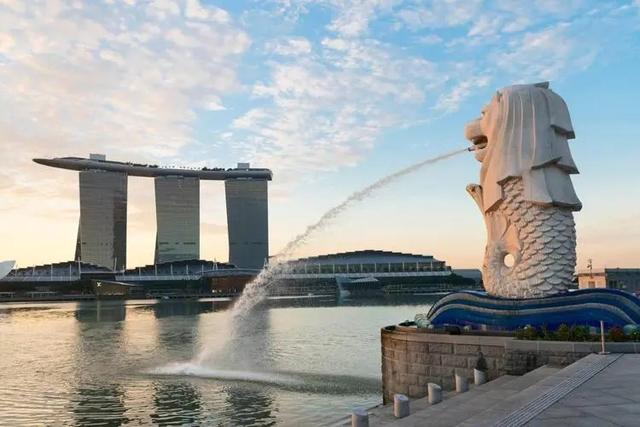 办理新加坡留学签证，需要哪些材料以及步骤是什么？