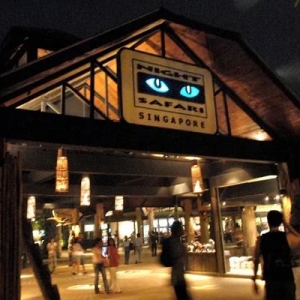 新加坡夜色玫瑰—夜间动物园