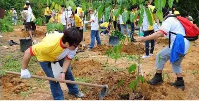 如果你想申请新加坡永久居民，这些关键因素你必须要知道