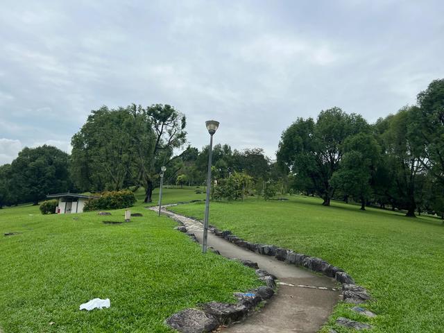 来新加坡三个月,说一说新加坡的公园