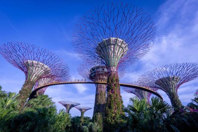 新加坡10个最美公园告诉你，花园城市有多美