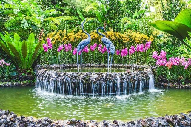 新加坡植物园 - 亚洲第一个公园景点