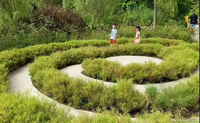 户外徒步新去处！新加坡新开的7个公园你都遛过了没？