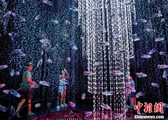 新加坡环球影城大型灯光秀 82万个灯泡创吉尼斯纪录