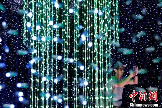 新加坡环球影城大型灯光秀 82万个灯泡创吉尼斯纪录