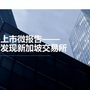 境外上市微报告：重新发现新加坡交易所